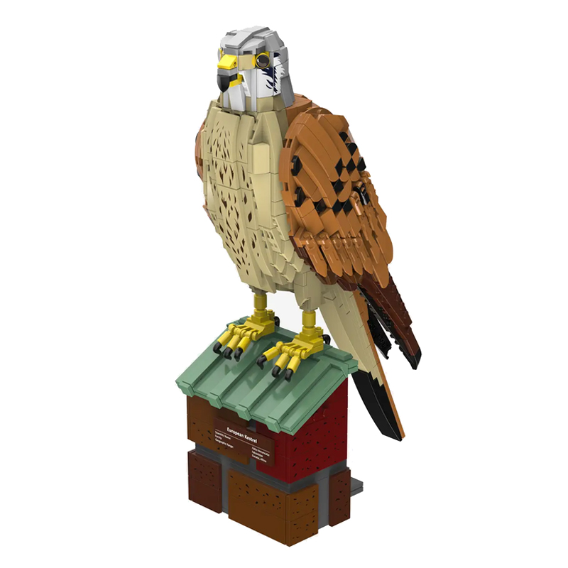 Blue Brixx-Pro Turmfalke