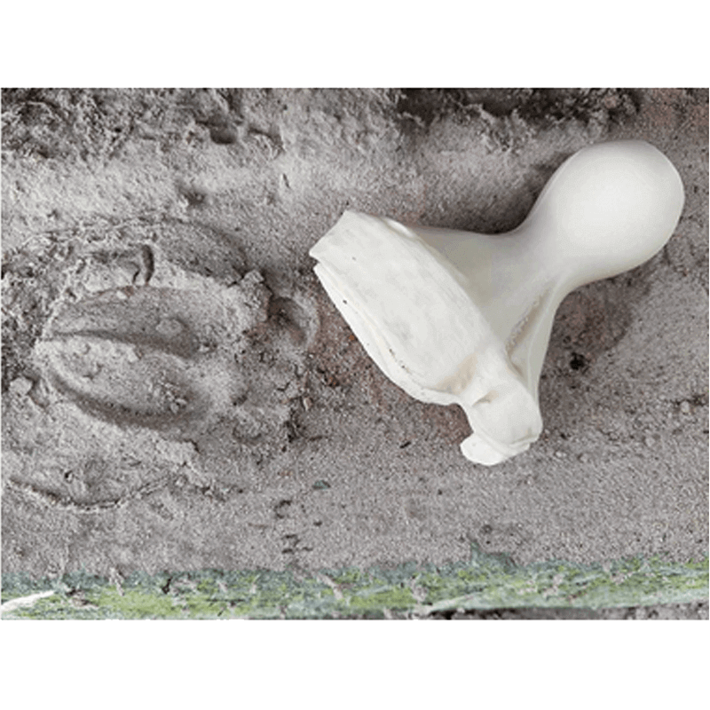 Fährtenstempel Wildschwein
