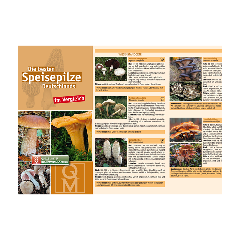 Bestimmungskarte „Die besten Speisepilze Deutschlands“