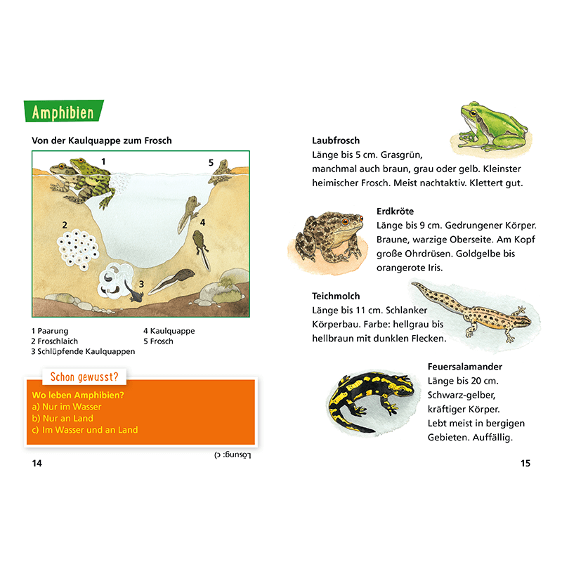 Kinderbuch "Pixi Wissen 30: Tiere erkennen"
