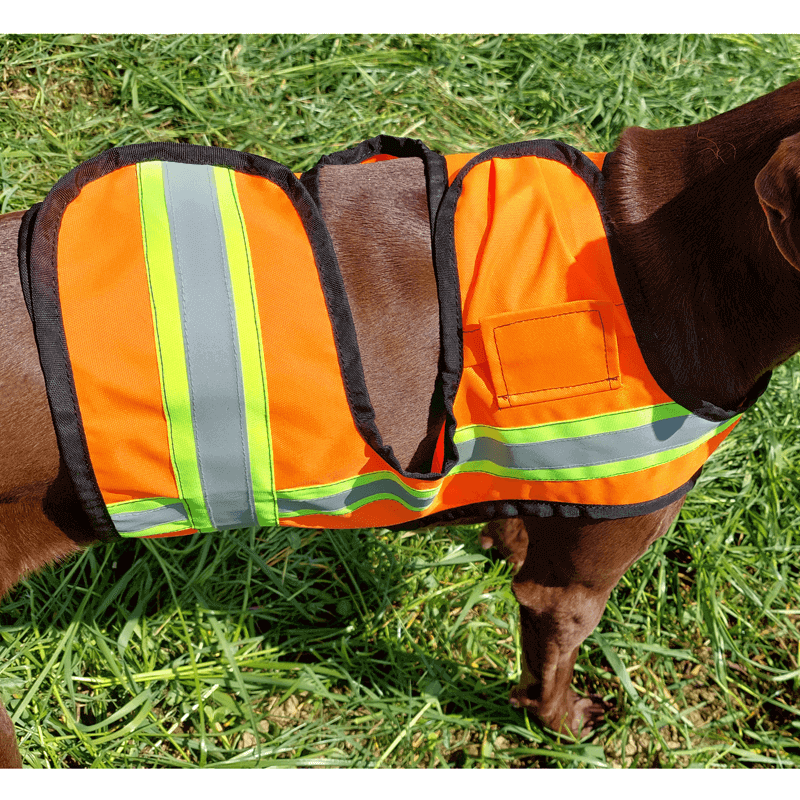 Signal-Hundeweste mit Trackerfach