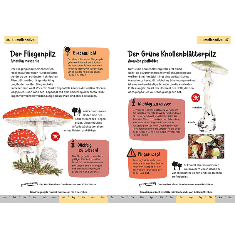 Buch "Kindernaturführer: Welcher Pilz ist das?"
