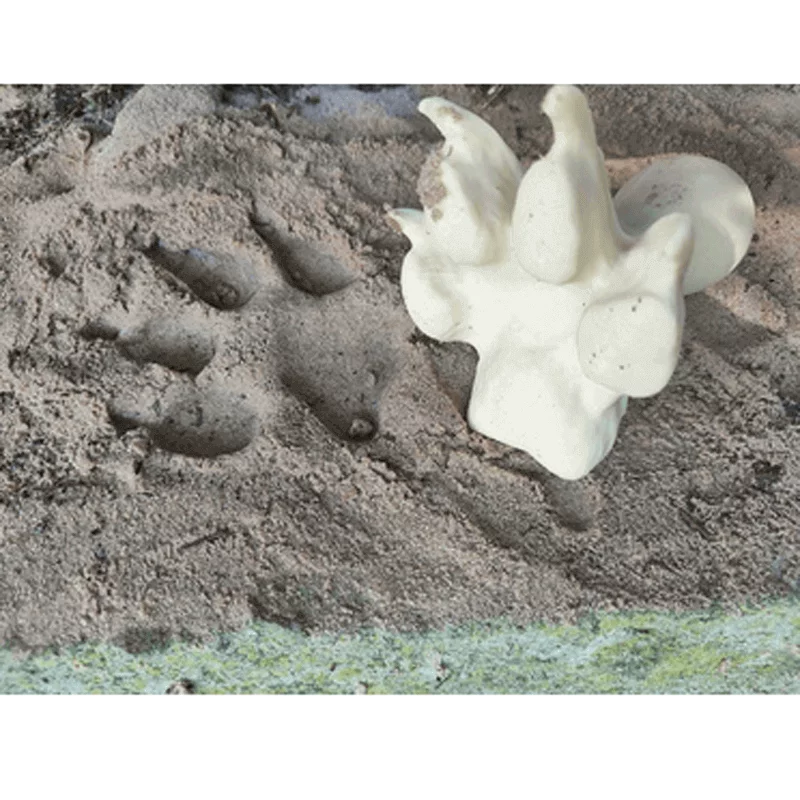 Fährtenstempel Wolf