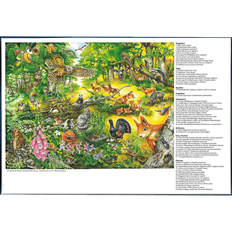 Wald-Wimmel-Puzzle