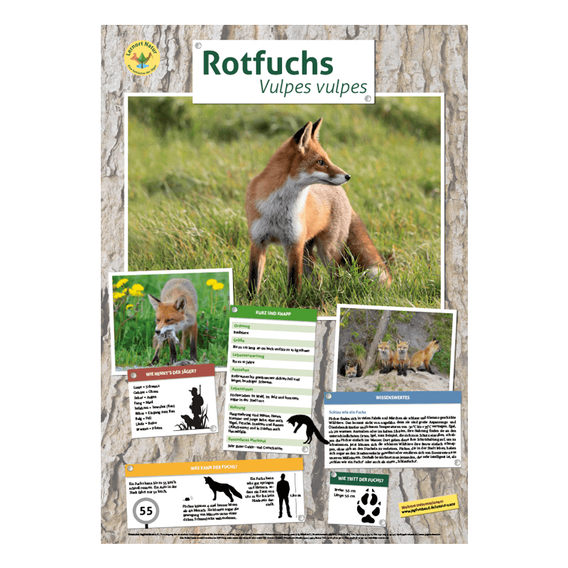 Tierposter im Format DIN A4 (Satz mit 22 Stück)