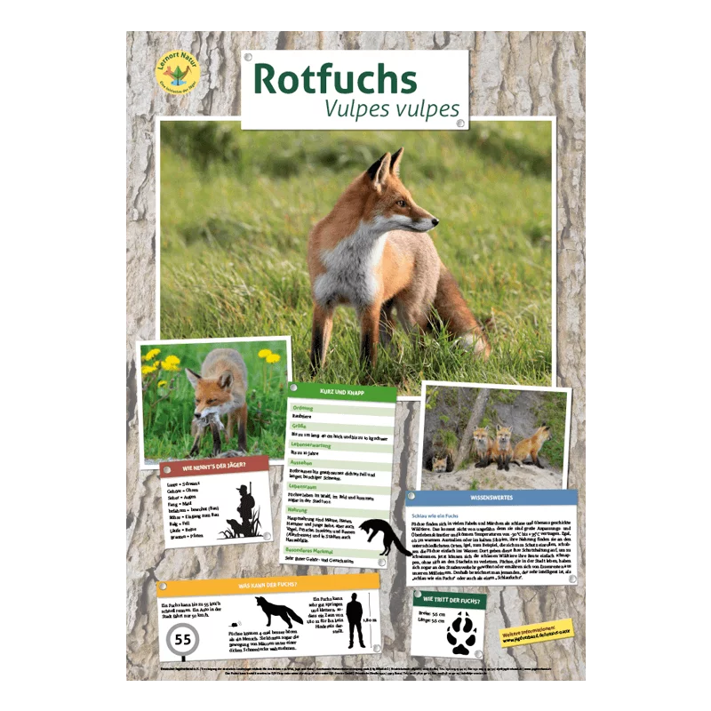 Tierposter im Format DIN A4 (Satz mit 22 Stück)