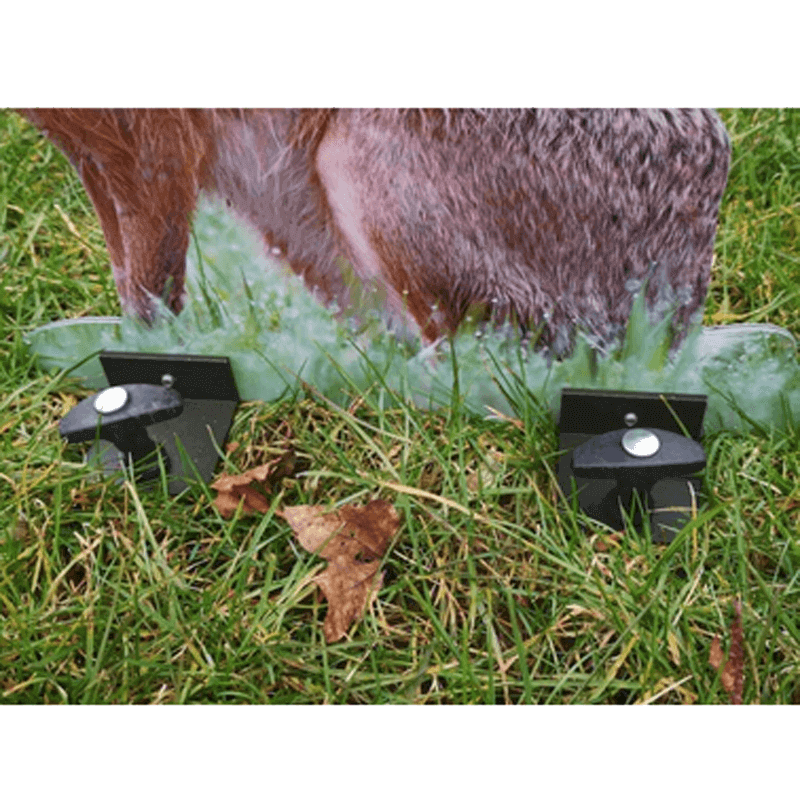 Bodenhalter-Set für Tieraufsteller (Aluminium)