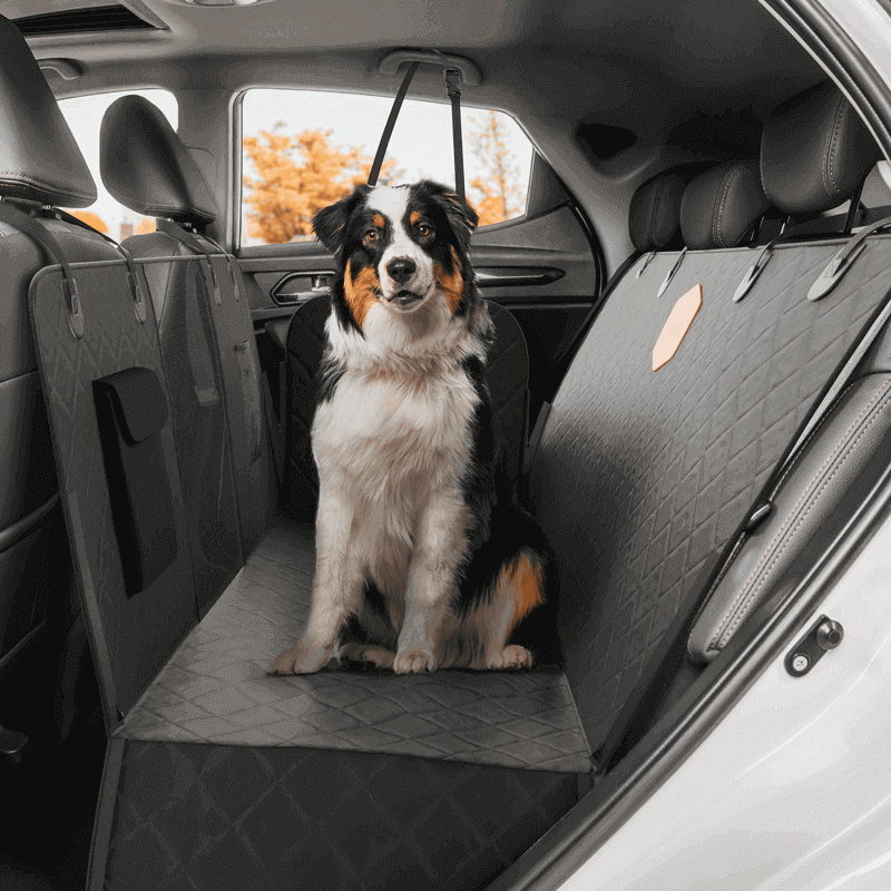 Rudelkönig Hunde-Rücksitzschutz