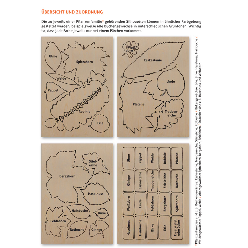 Lernort Natur-Bastelset Baum-Memo-Spiel
