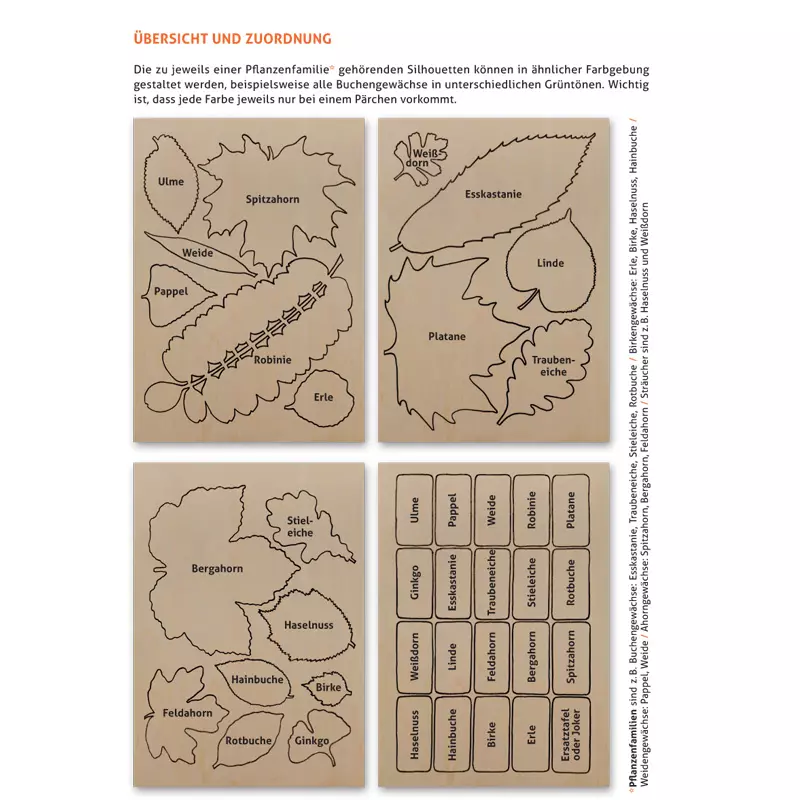 Lernort Natur-Bastelset Baum-Memo-Spiel