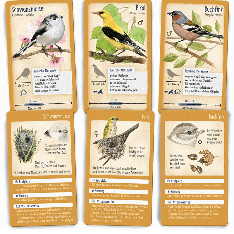 Karten-Spiel "Tour durch die Natur - Heimische Singvögel"