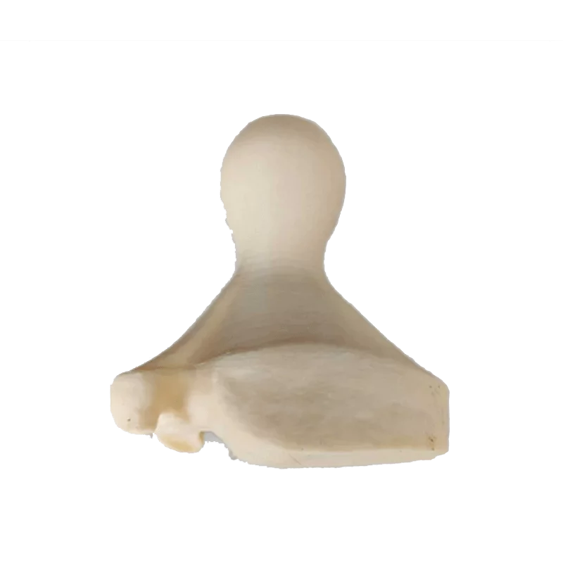Fährtenstempel Wildschwein