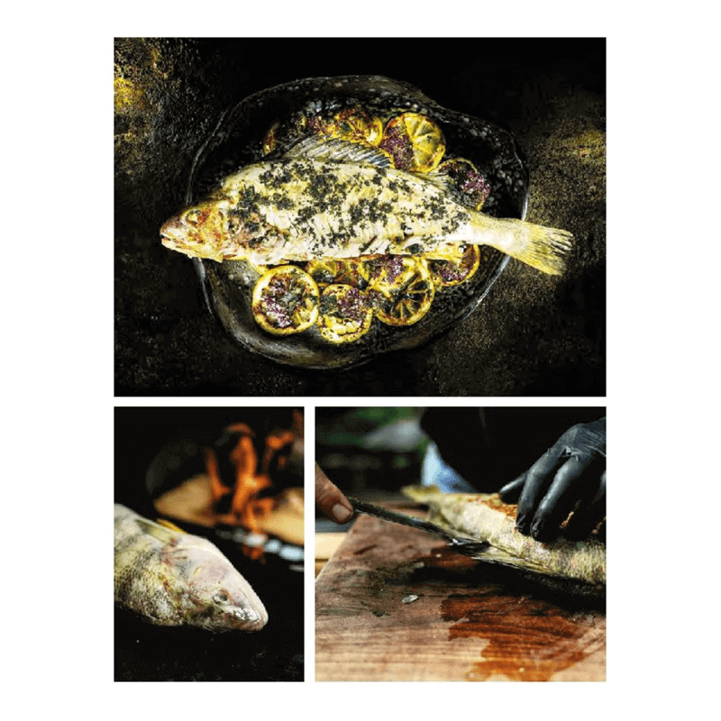 Kochbuch "Wild gegrillt"