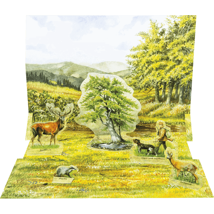 Spielset "Abenteuer Wild - Lebensraum Wald"