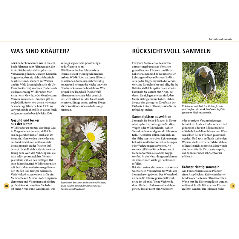 Buch "Wildkräuter am Blatt erkennen"