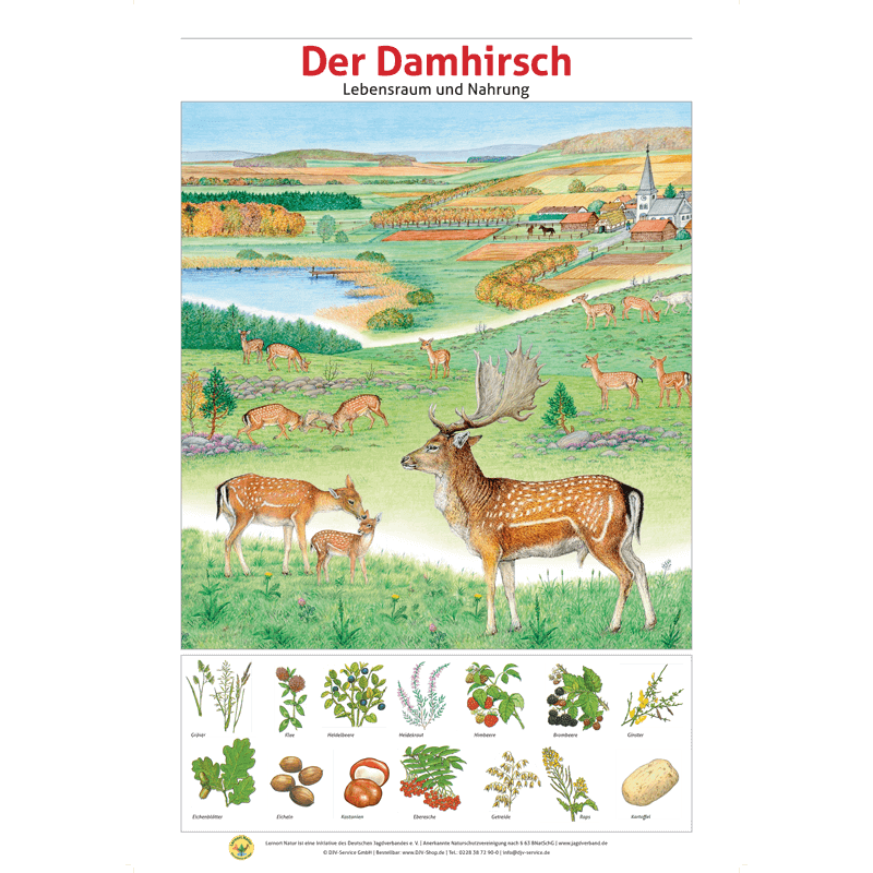 Lernort Natur-Tafel-Set "Heimische Wildtiere - Lebensraum und Nahrung" (12 Tafeln)