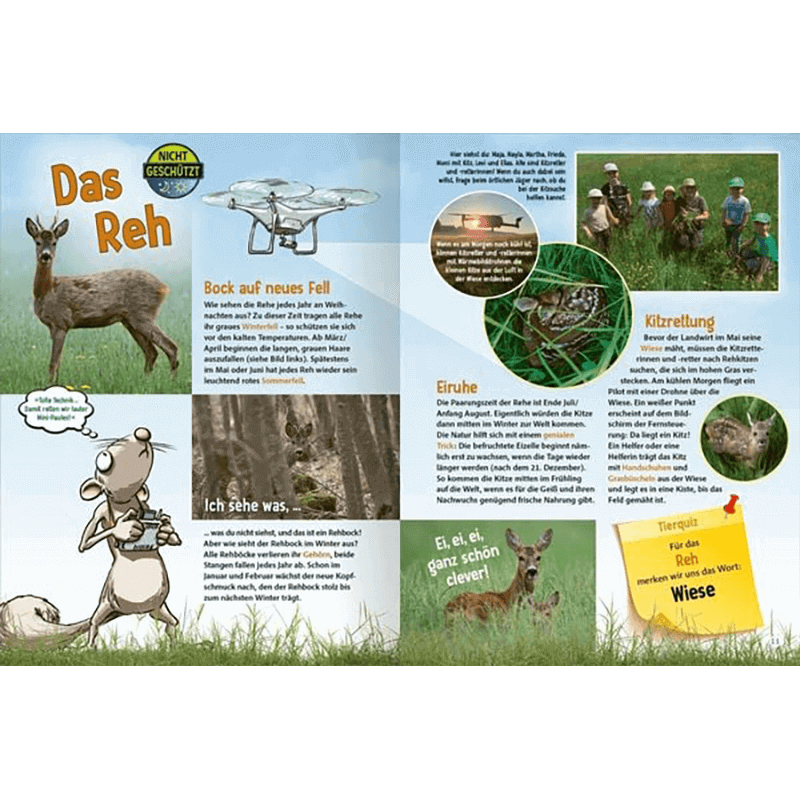 Kinderbuch "Jetzt verstehe ich die Tiere des Waldes"