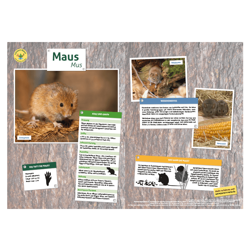 Lernort Natur-Tiertafel DIN A3 Maus