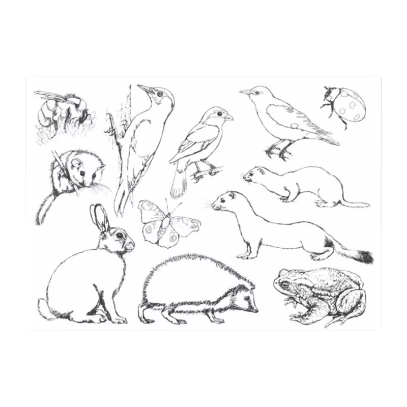 Malbuch 1 "Wir malen - was lebt in Wald und Flur"