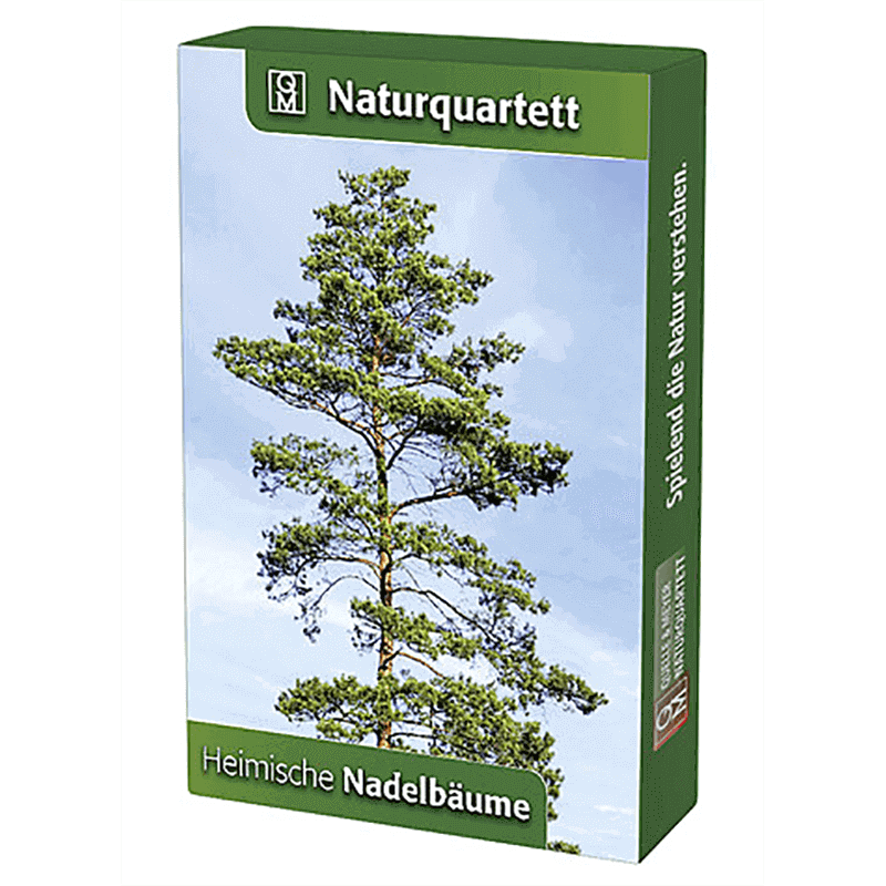 Naturquartett "Nadelbäume"