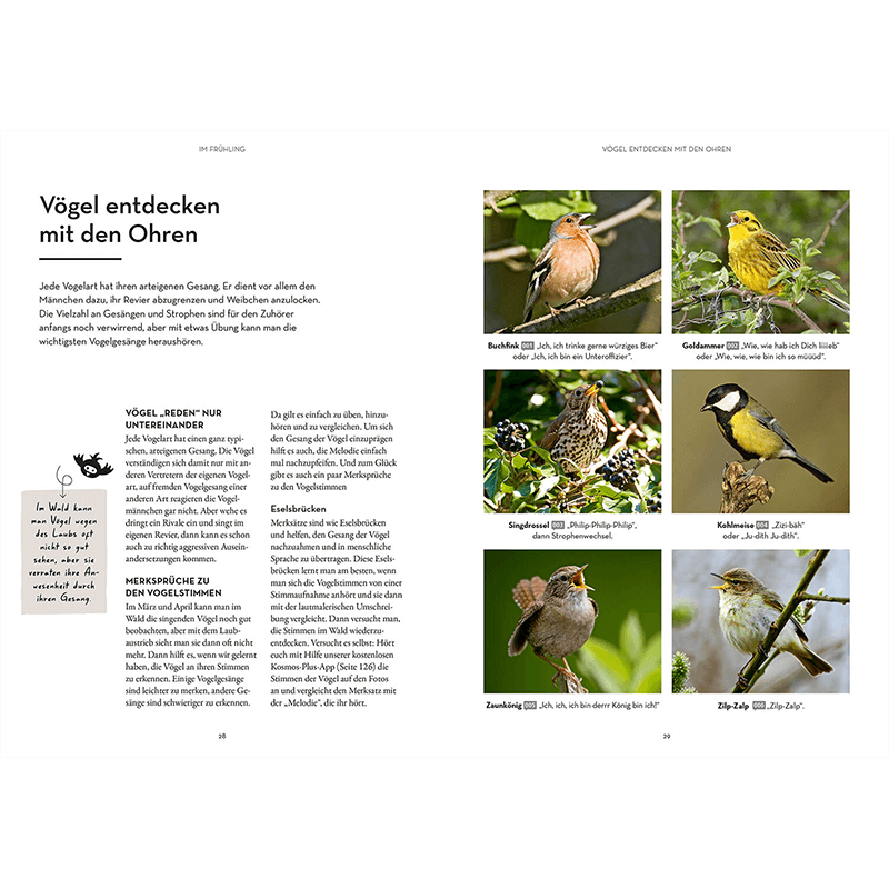 Buch "Waldglück - Mitmach-Ratgeber"