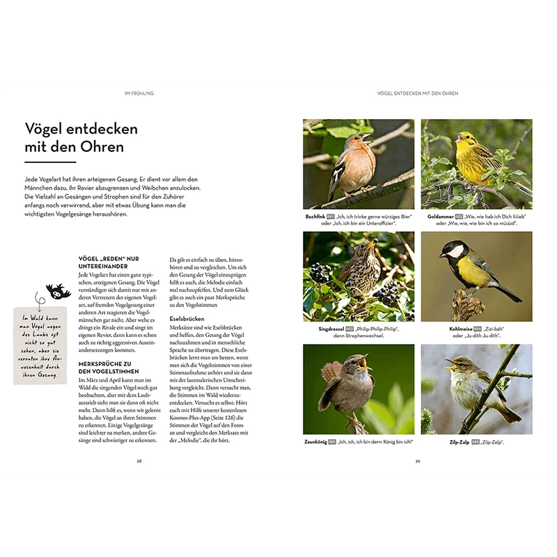 Buch "Waldglück - Mitmach-Ratgeber"