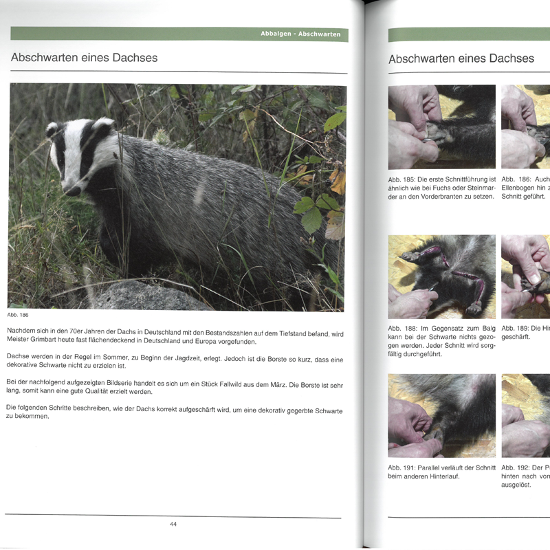 Buch "Handbuch der Trophäenbearbeitung"