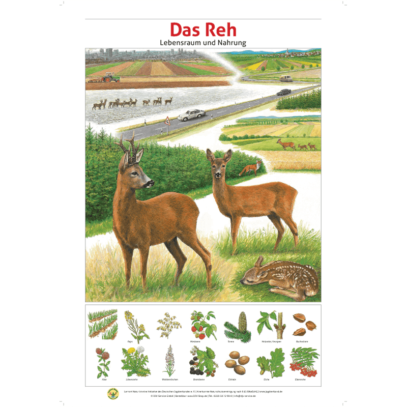 Lernort Natur-Tafel-Set "Heimische Wildtiere - Lebensraum und Nahrung" (12 Tafeln)