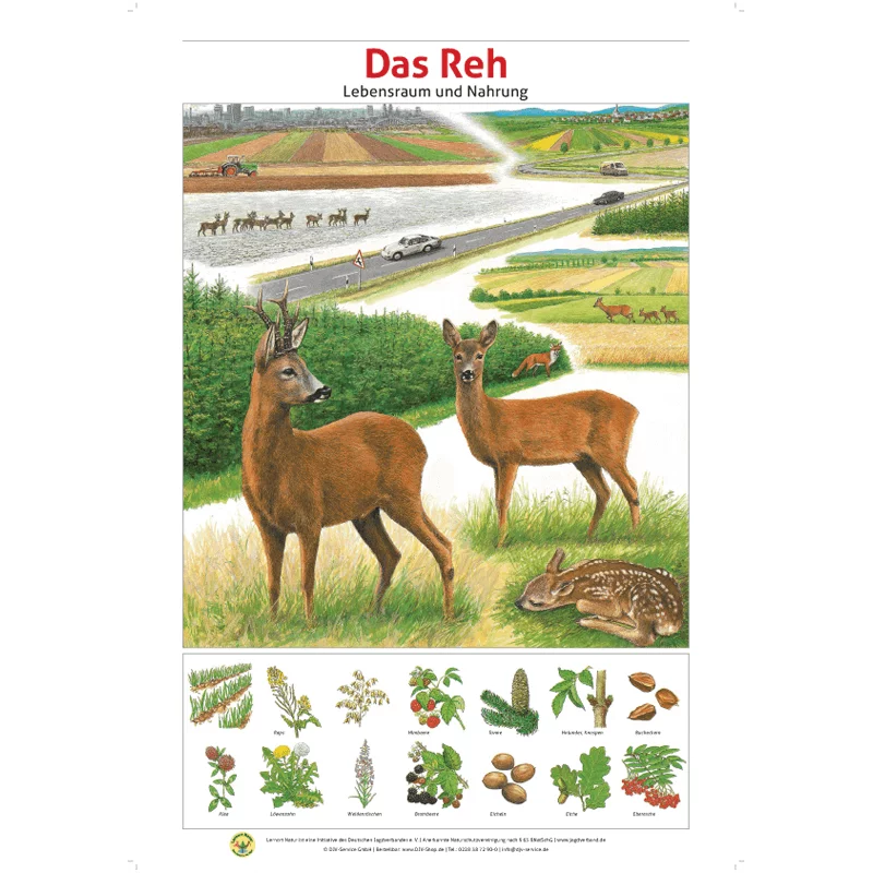 Lernort Natur-Tafel-Set "Heimische Wildtiere - Lebensraum und Nahrung" (12 Tafeln)