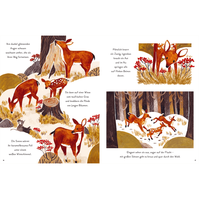 Kinderbuch "Kleine und große Wunder der Natur"