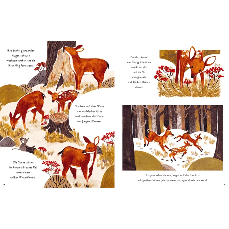 Kinderbuch "Kleine und große Wunder der Natur"