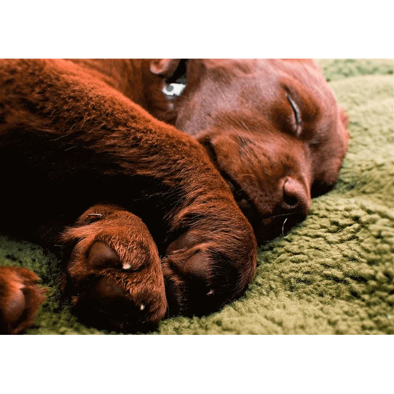 Farm-Land Hundebett aus Faserpelz