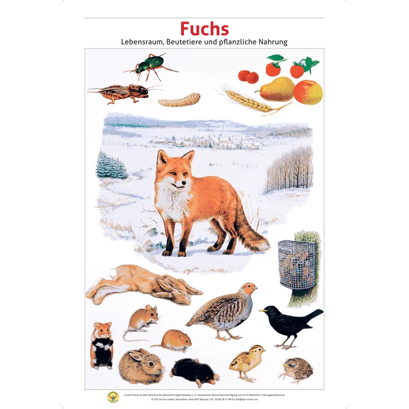 Lernort Natur-Tafel-Set "Heimische Wildtiere - Lebensraum und Nahrung" (12 Tafeln)
