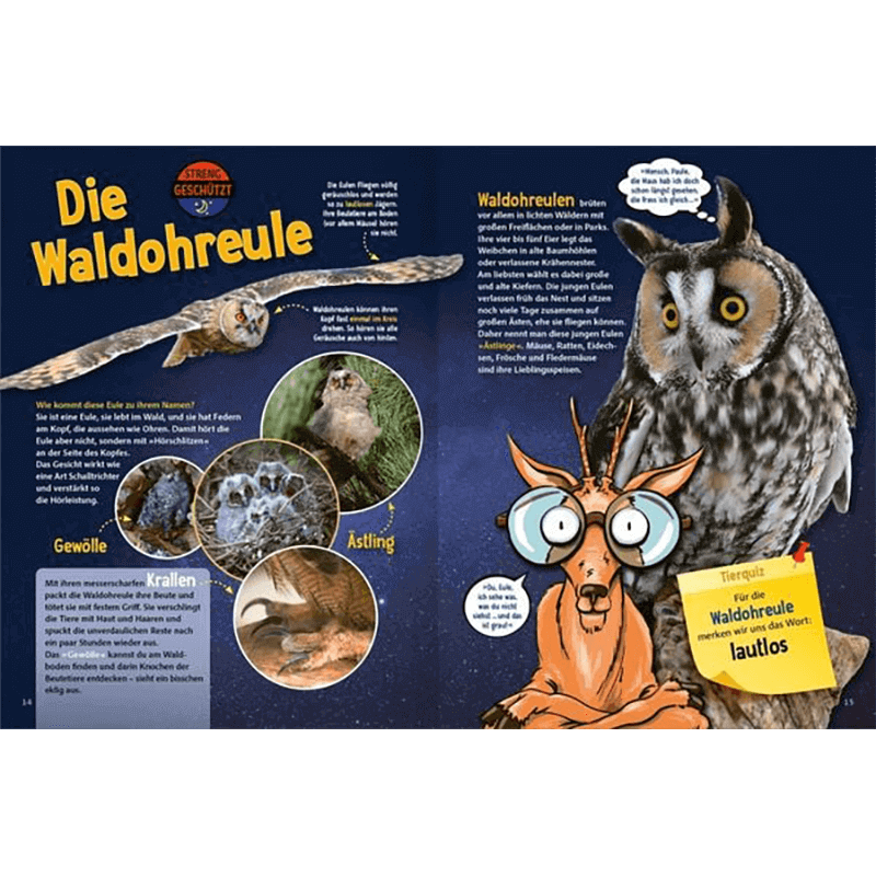 Kinderbuch "Jetzt verstehe ich die Tiere des Waldes"