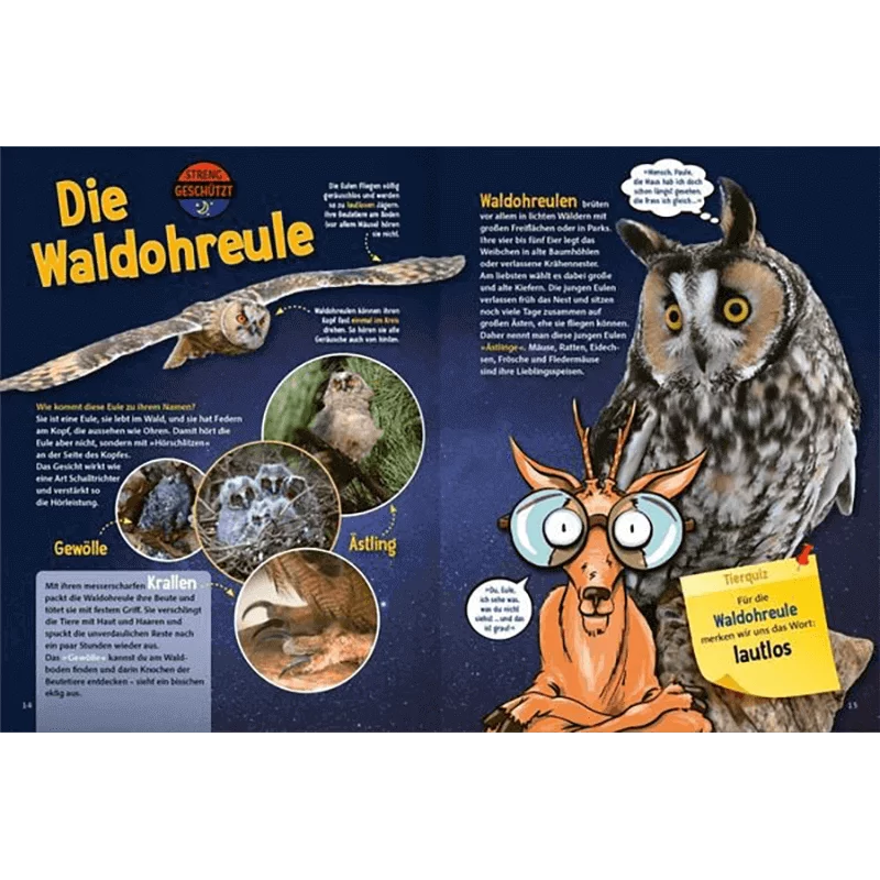 Kinderbuch "Jetzt verstehe ich die Tiere des Waldes"