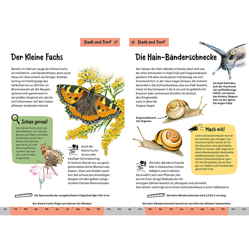 Kinder-Naturführer "Tier- und Pflanzenführer"