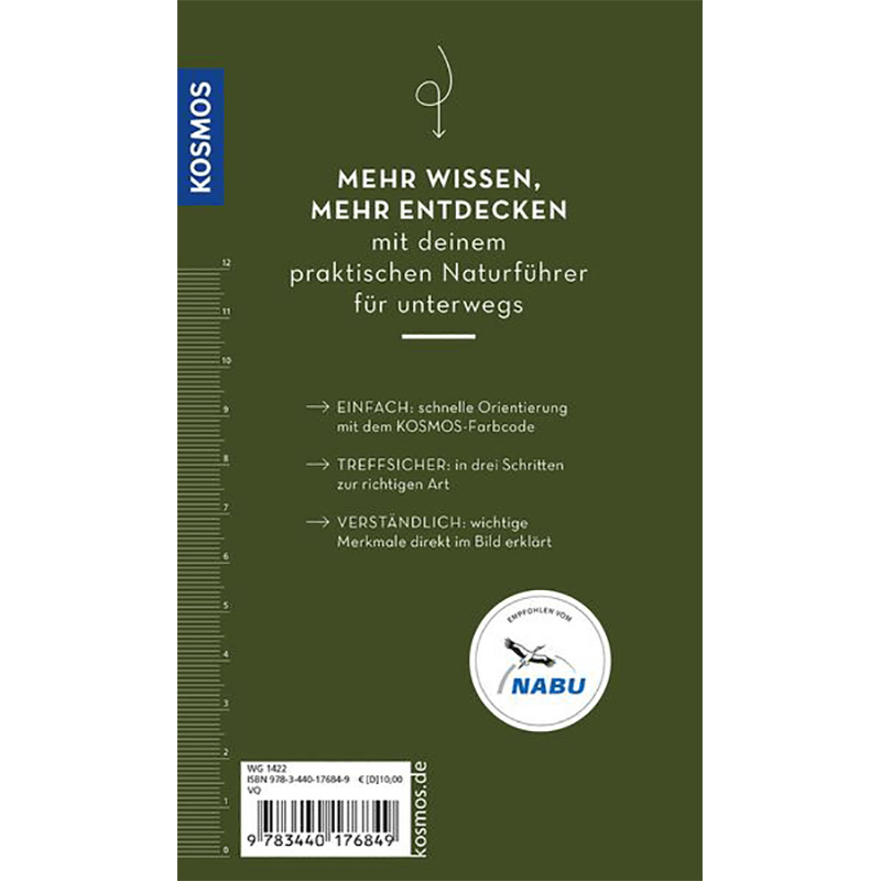 Buch "Basic Wald"