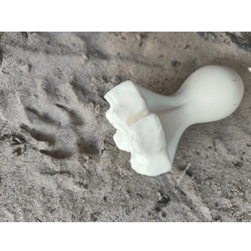 Fährtenstempel Fuchs
