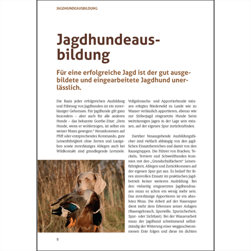Hundebroschüre "Unsere Jagdhunde"