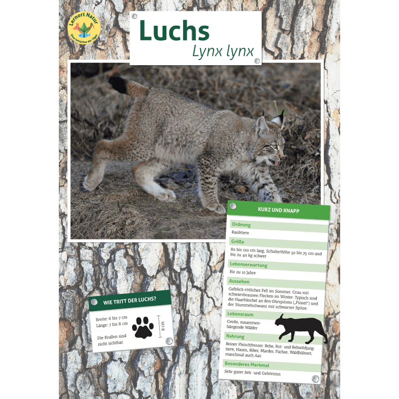Tierposter im Format DIN A4 (Satz mit 22 Stück)