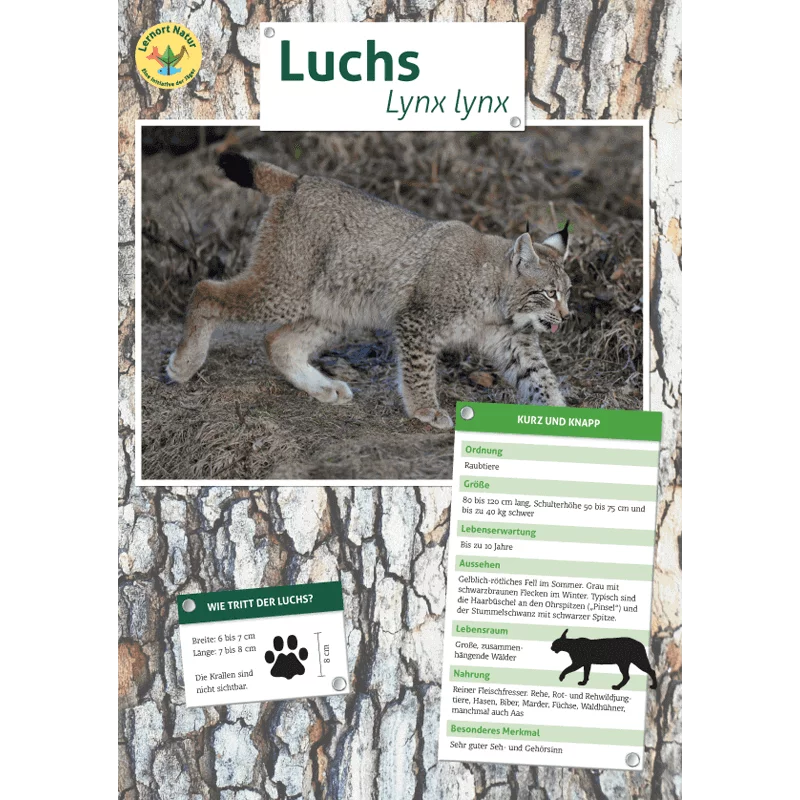 Tierposter im Format DIN A4 (Satz mit 22 Stück)