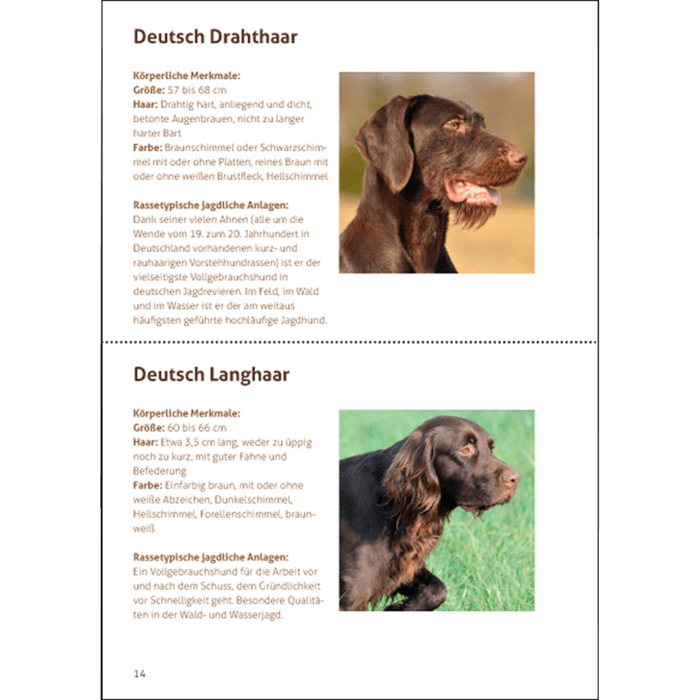Hundebroschüre "Unsere Jagdhunde"