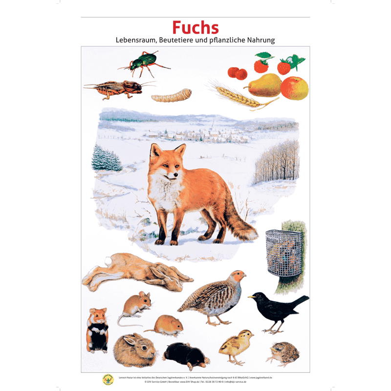 Lernort Natur-Tafel-Set "Heimische Wildtiere - Lebensraum und Nahrung" (12 Tafeln)