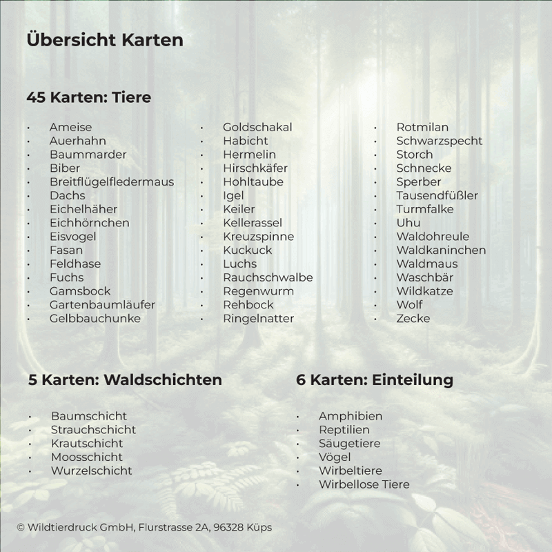 Spielset "Tiere des Waldes spielerisch entdecken"