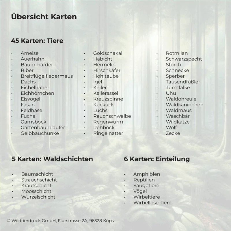 Spielset "Tiere des Waldes spielerisch entdecken"