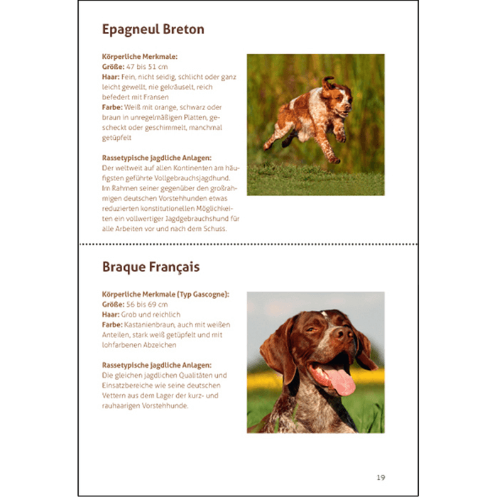 Hundebroschüre "Unsere Jagdhunde"