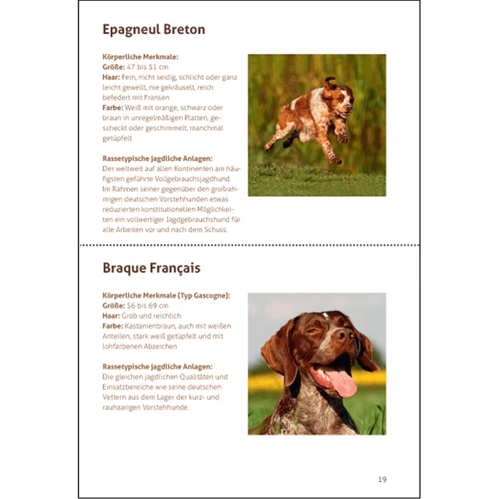 Hundebroschüre "Unsere Jagdhunde" - zurzeit in Überarbeitung