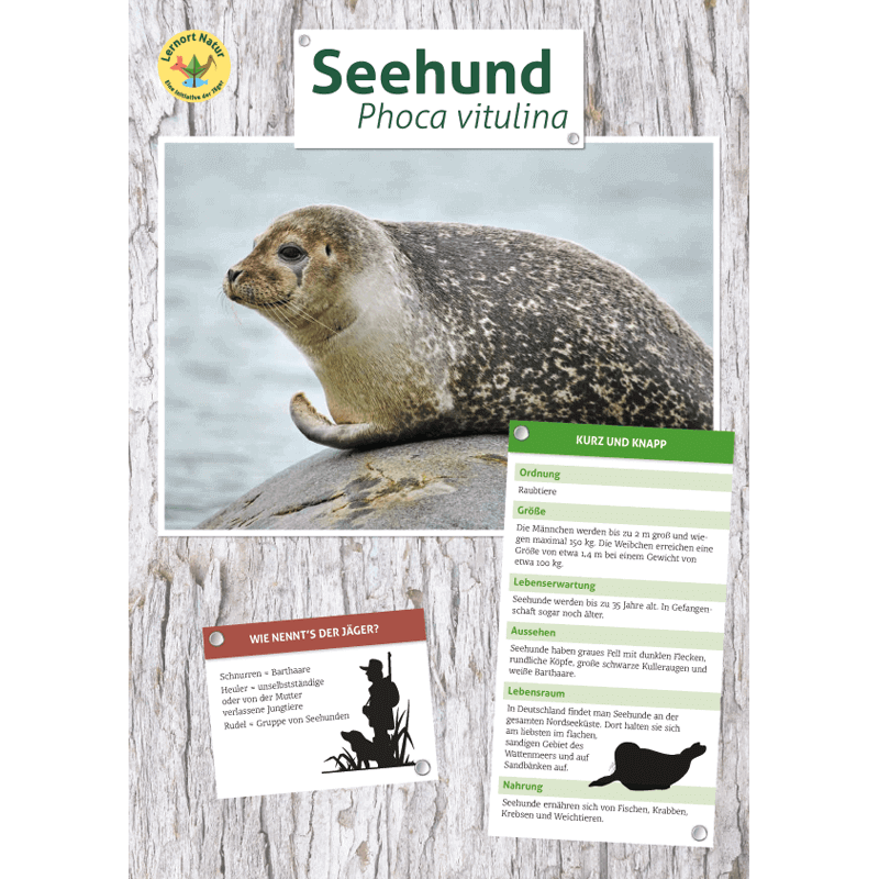 Tierposter im Format DIN A4 (Satz mit 22 Stück)