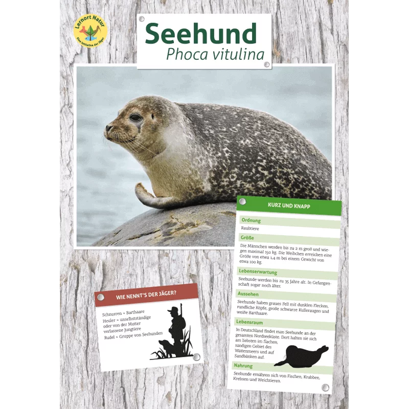 Tierposter im Format DIN A4 (Satz mit 22 Stück)