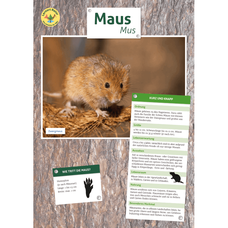 Tierposter im Format DIN A4 (Satz mit 22 Stück)